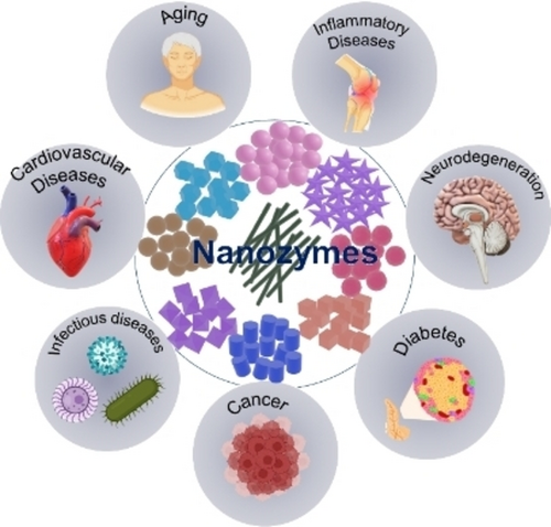 Nanozymes Revolutionizing Biomedical Therapies through Redox Regulation